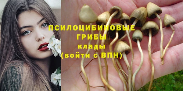 прущая мука Алексеевка