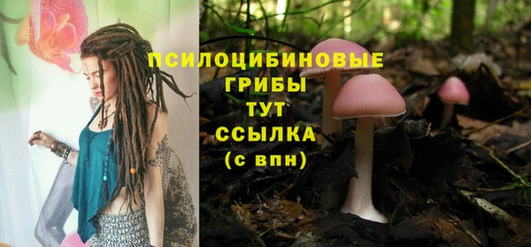 мескалин Алексин